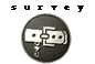 survey