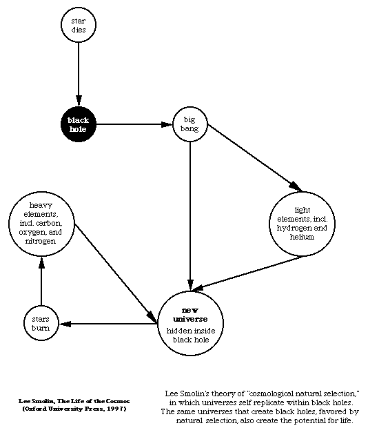 diagram of Lee Smolin's theory of cosmological natural selection